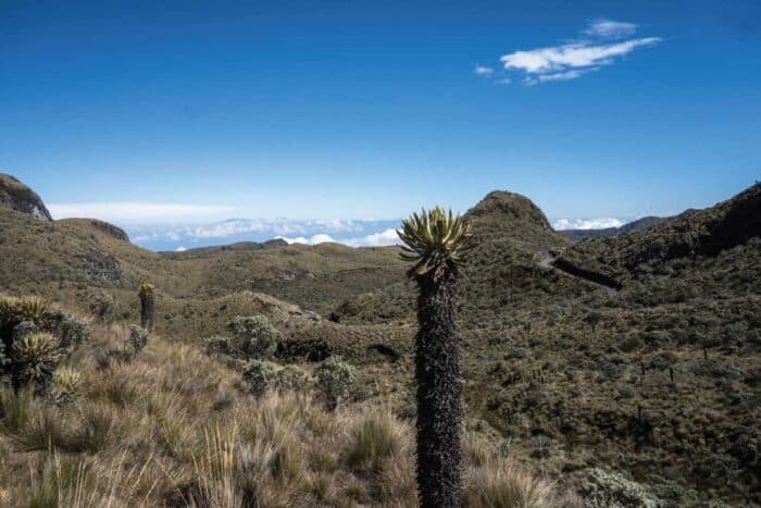 Nevado Santa Isabel Colombia hiking and trekking tour