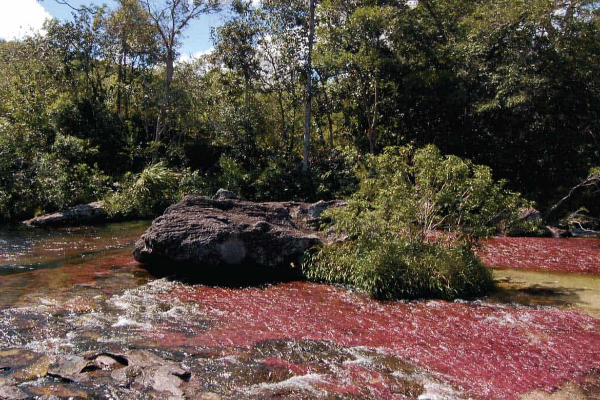 Caño Cristales river Colombia tours